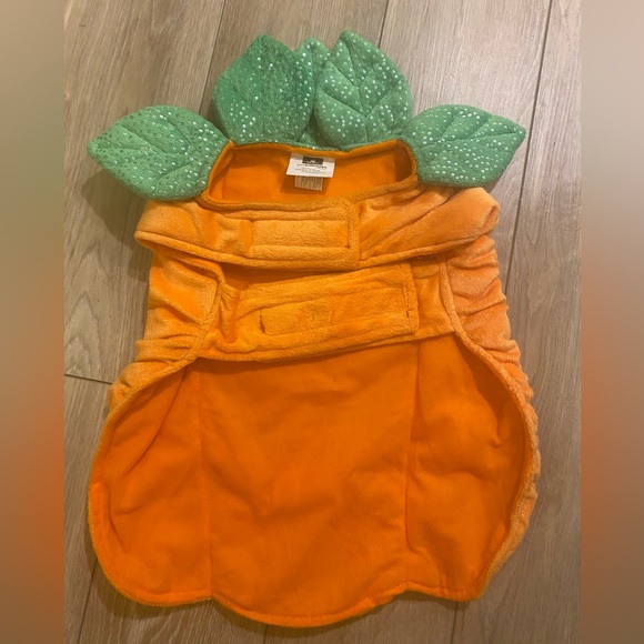 Pupkin Costume - Medium - Picture 3 of 4